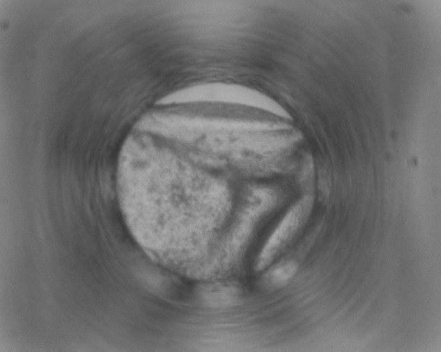 X0000076300331200610271920