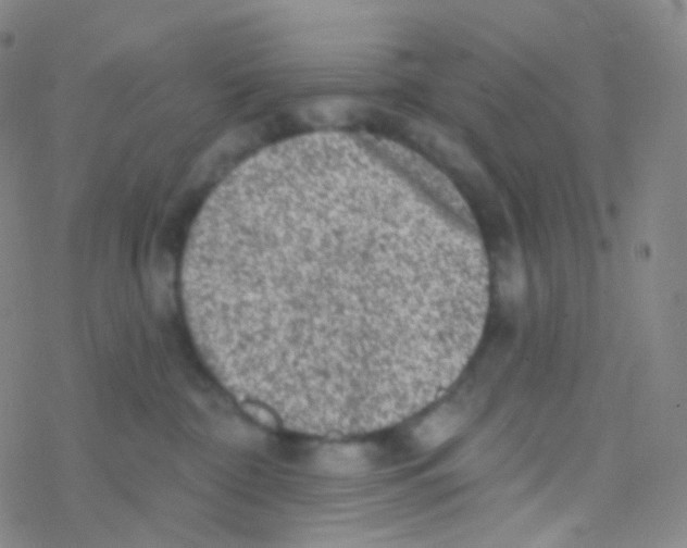 X0000076300332200610271920