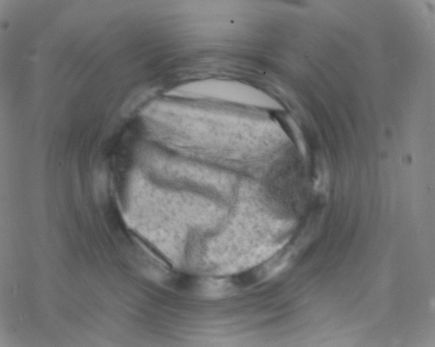 X0000076300333200610271920