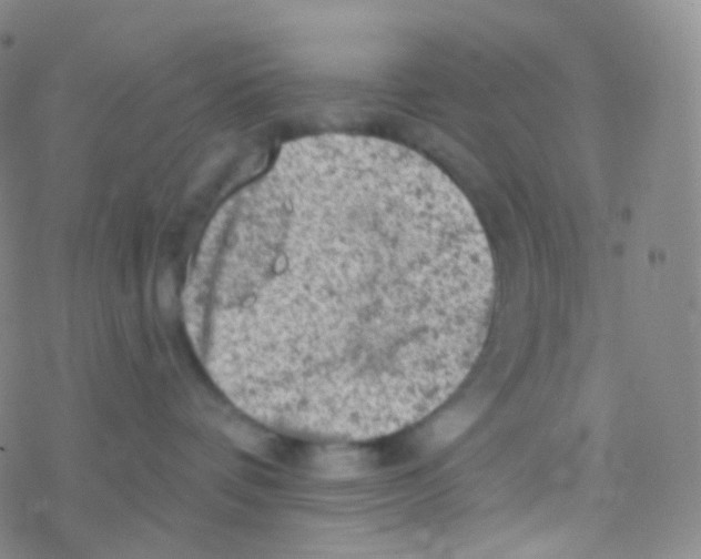 X0000076300336200610271920