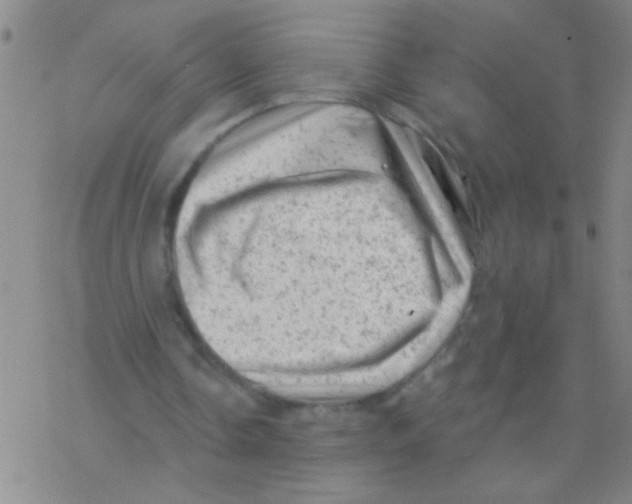 X0000076300338200610271920