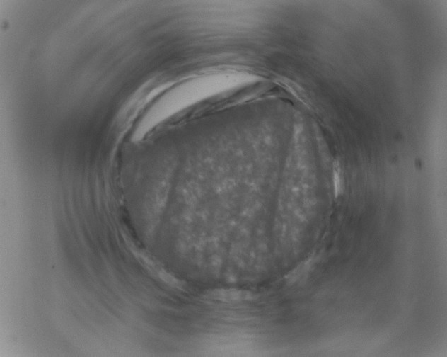 X0000076300339200610271920