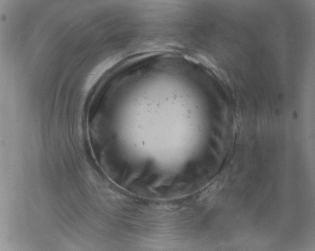 X0000076300340200610271920