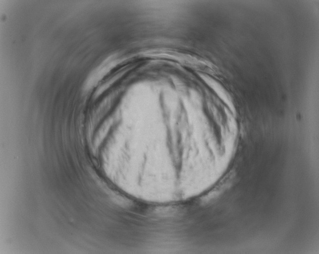 X0000076300341200610271920