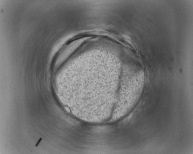 X0000076300342200610271920