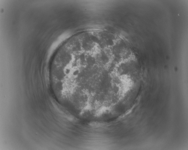 X0000076300343200610271920