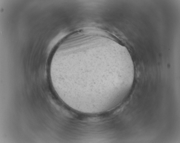 X0000076300344200610271920