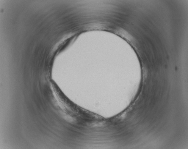 X0000076300345200610271920