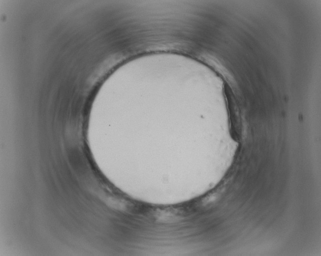 X0000076300346200610271920