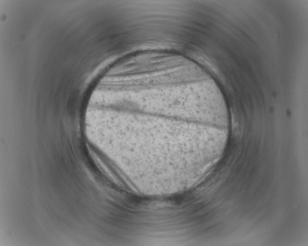 X0000076300348200610271920