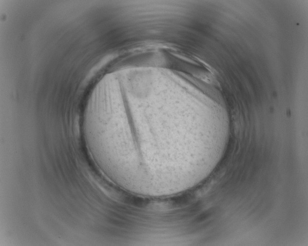 X0000076300350200610271920