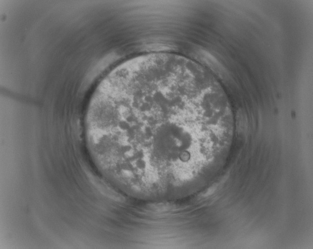 X0000076300351200610271920