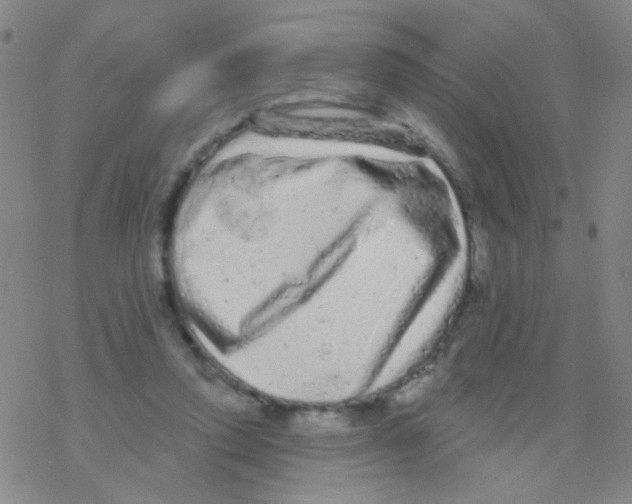 X0000076300354200610271920