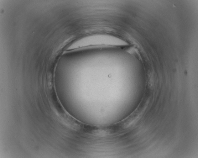 X0000076300356200610271920