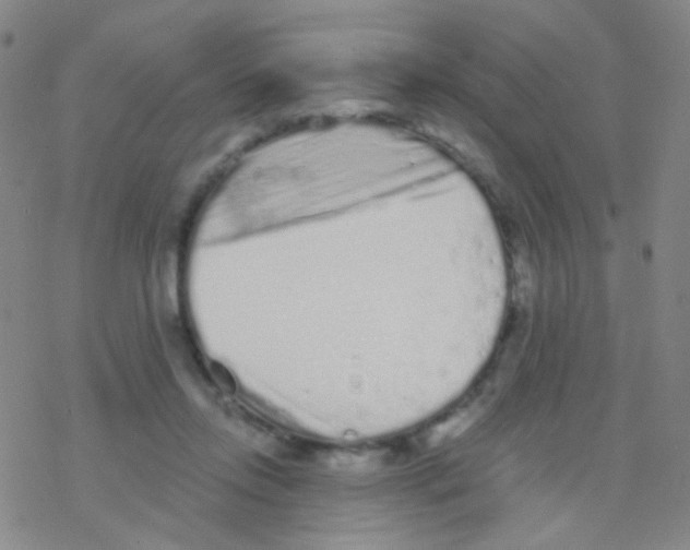 X0000076300358200610271920