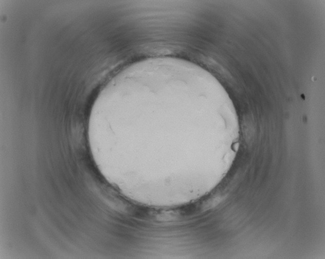 X0000076300359200610271920