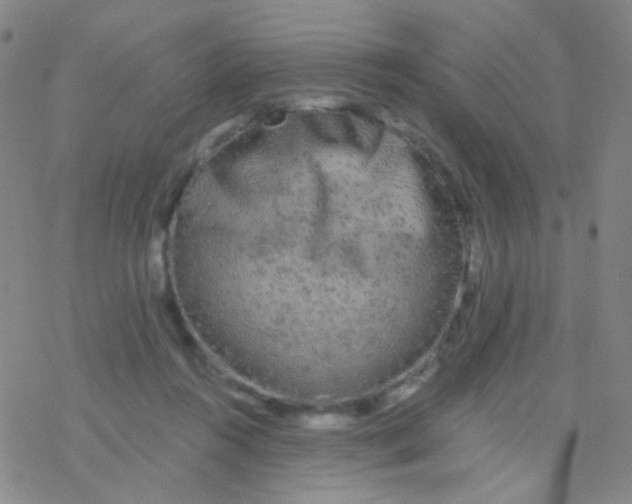 X0000076300360200610271920