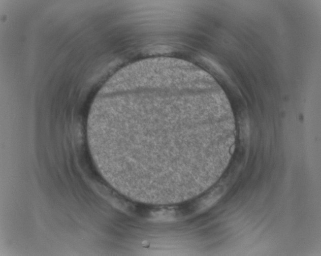 X0000076300362200610271920