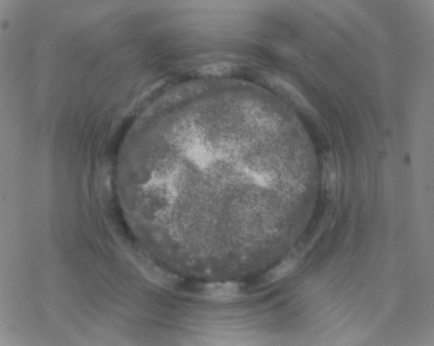 X0000076300363200610271920