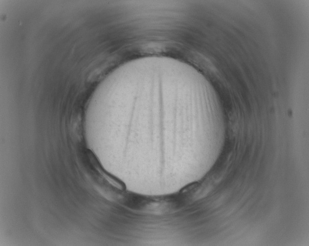 X0000076300364200610271920