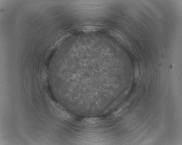 X0000076300367200610271920