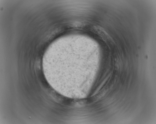 X0000076300368200610271920