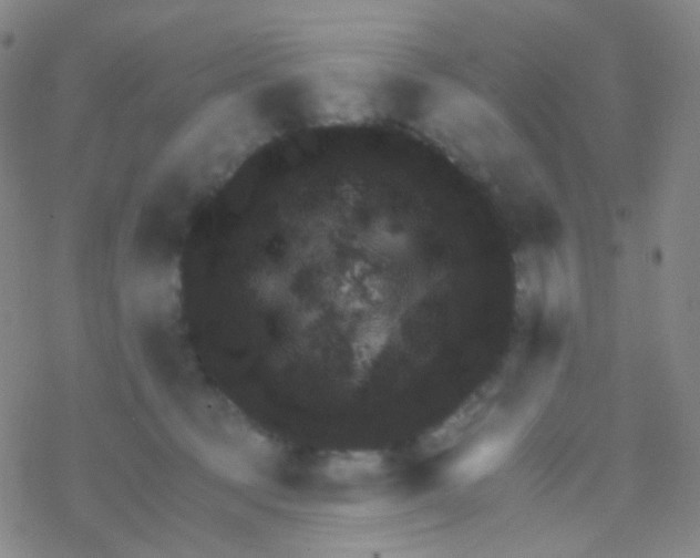 X0000076300369200610271920