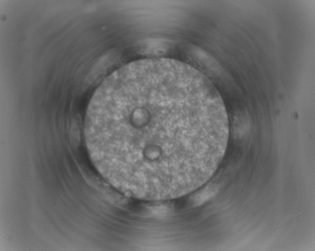 X0000076300370200610271920