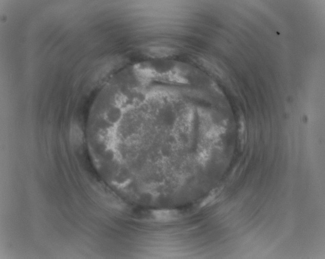 X0000076300371200610271920