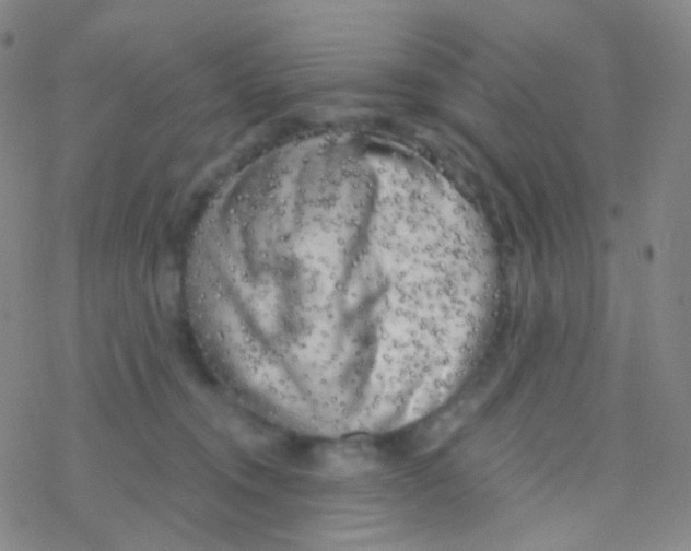 X0000076300372200610271920