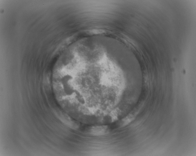 X0000076300373200610271920