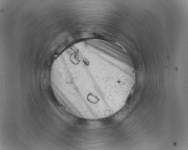 X0000076300376200610271920