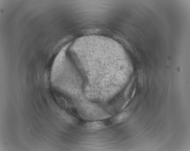 X0000076300378200610271920