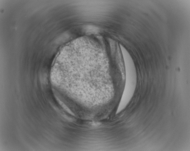 X0000076300379200610271920