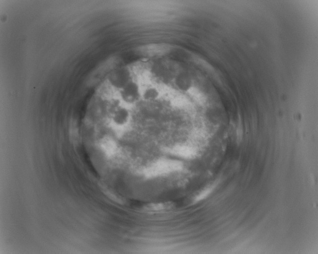 X0000076300381200610271920