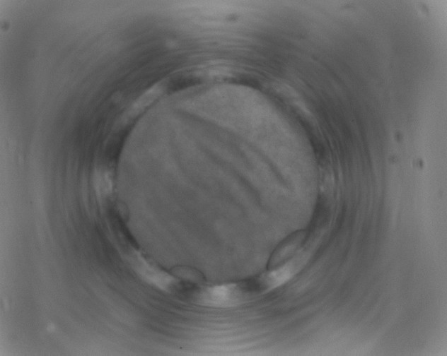 X0000076300382200610271920