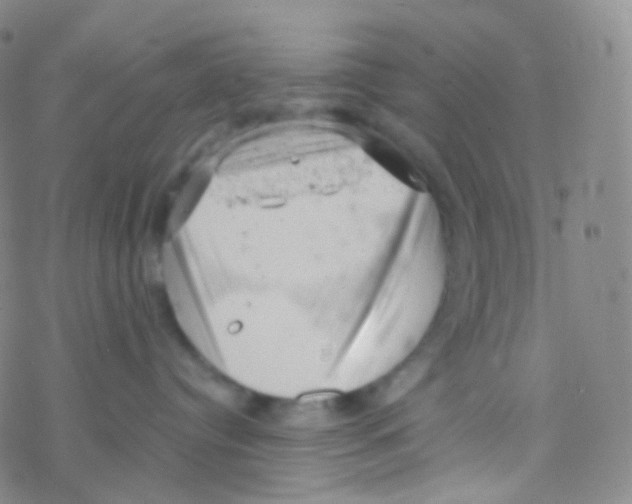 X0000076300384200610271920