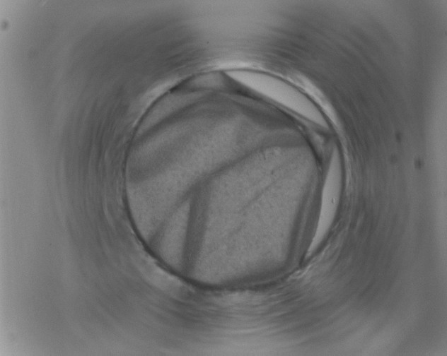 X0000076300385200610271919