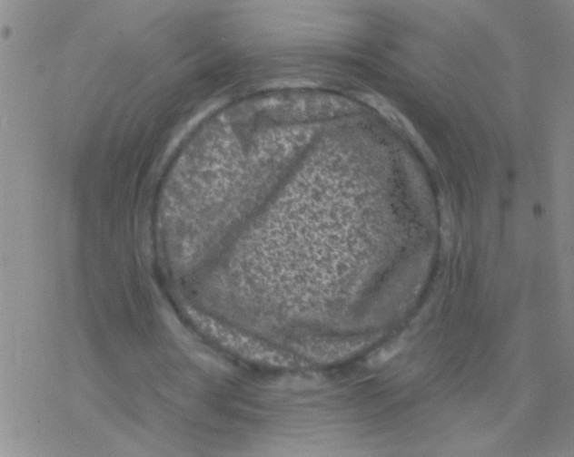 X0000076300386200610271919