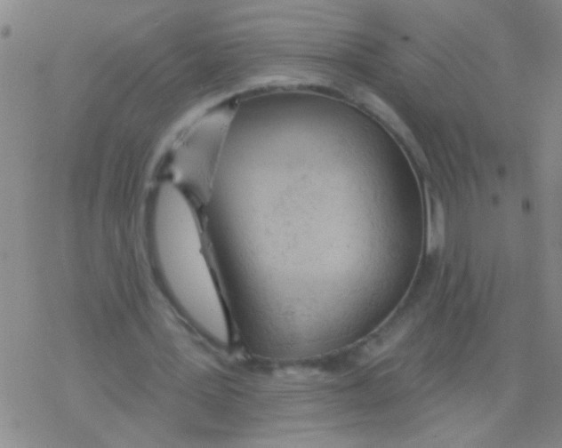 X0000076300387200610271919