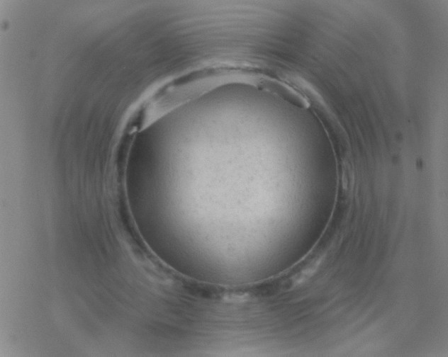 X0000076300388200610271919