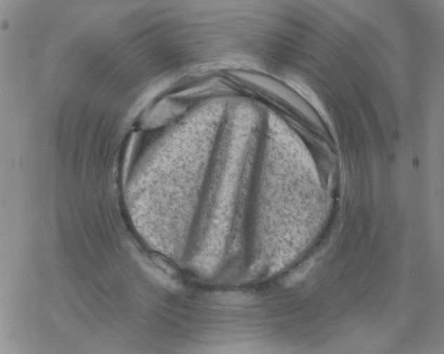 X0000076300389200610271919