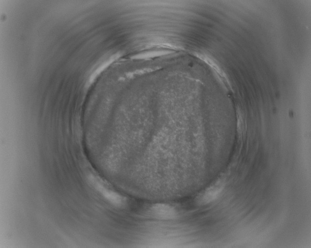 X0000076300390200610271919