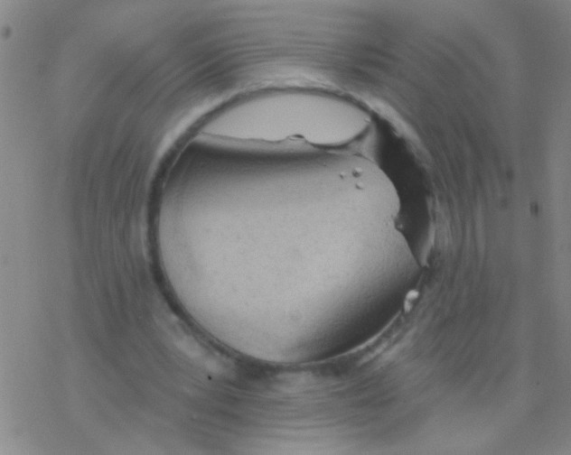 X0000076300391200610271919