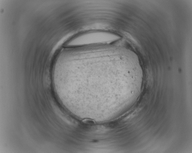 X0000076300392200610271919