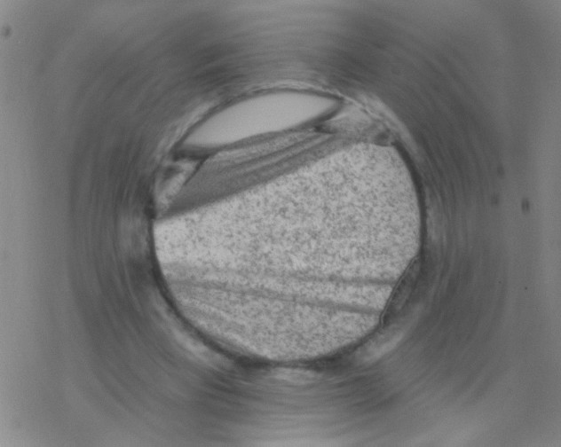 X0000076300393200610271919