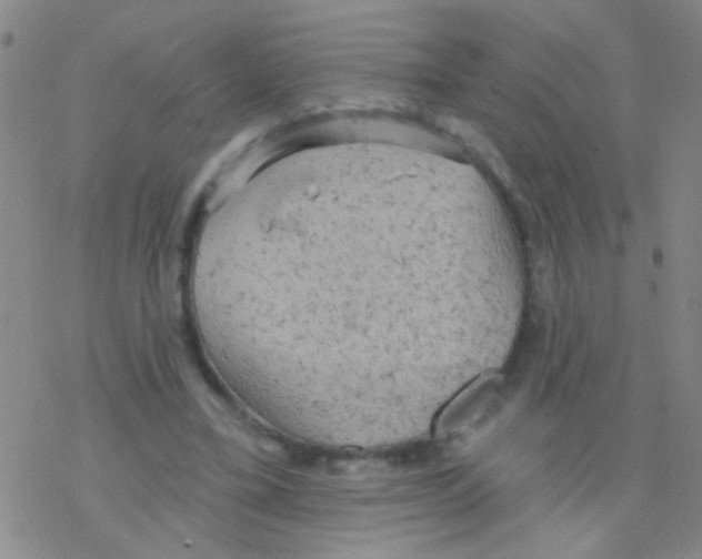 X0000076300395200610271919