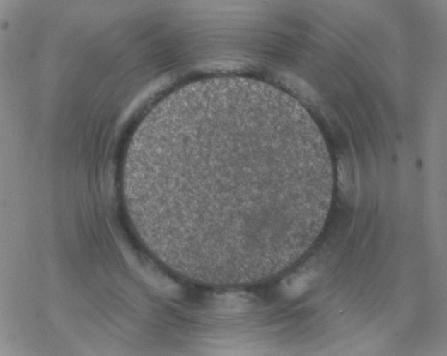 X0000076300396200610271919