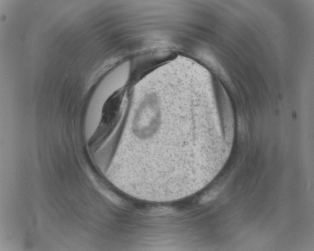 X0000076300397200610271919