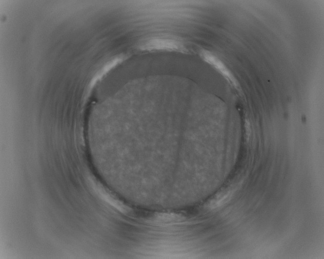 X0000076300399200610271919